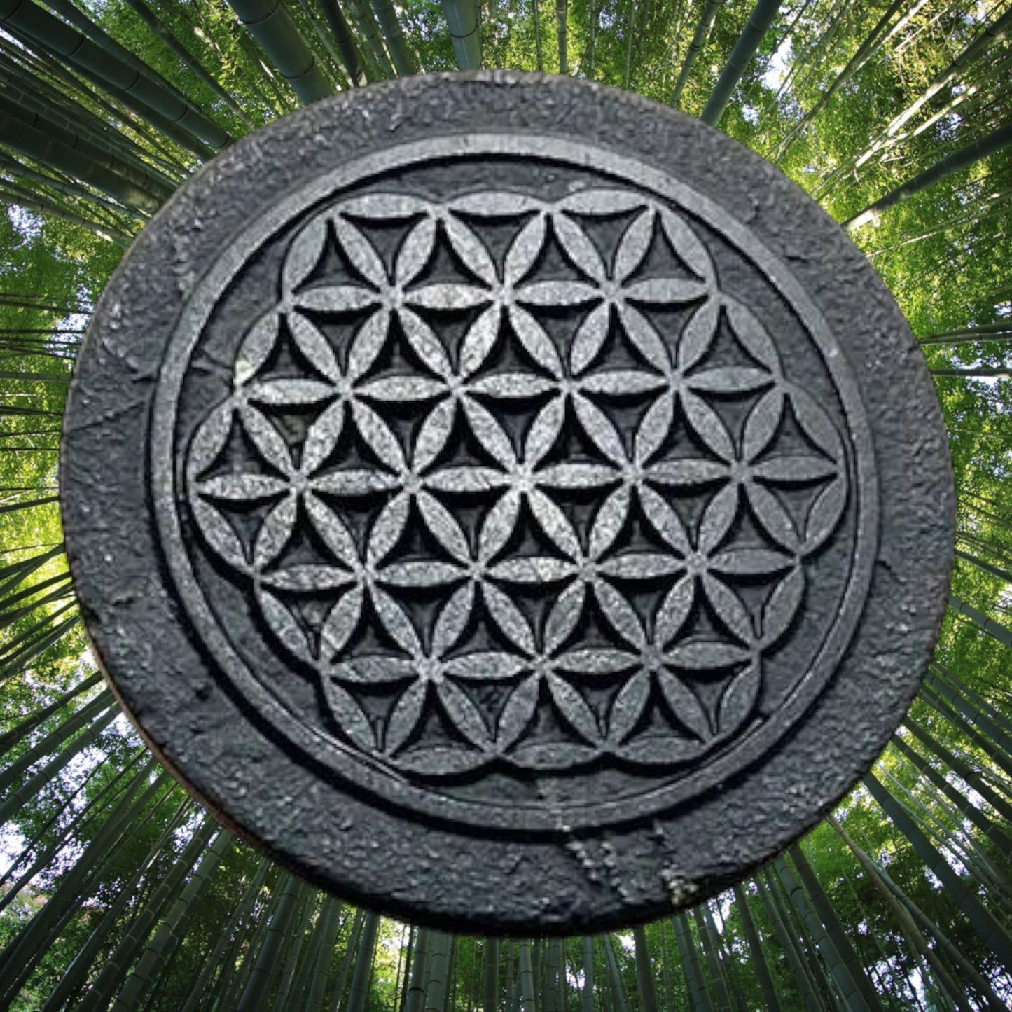 shungite emf protection