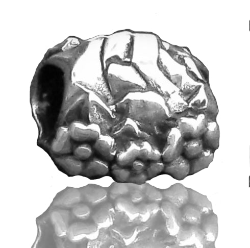 AA24 Sacred NZ 925 Sterling Silver New Zealand Mt Cook Charm Bead-SALE