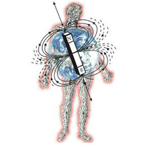 north south magnetic poles