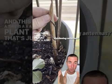 Electromagnetic copper gardening